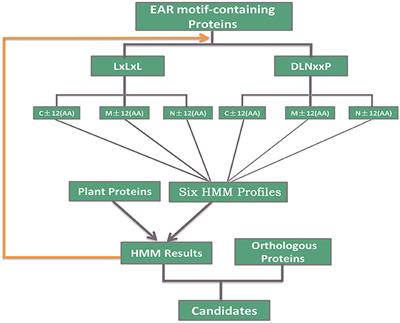 PlantEAR: Functional Analysis Platform for Plant EAR Motif-Containing Proteins